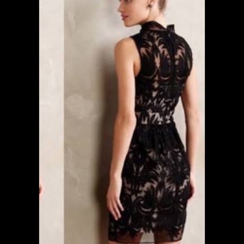 Baraschi Black Lace sheath from Anthropologie